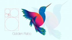 The Golden Ratio for Bird Logo Design in Illustrator