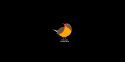 BIRD LOGO WITH GOLDEN RATIO on Behance