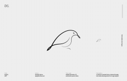 Minimalistic bird logos on Behance