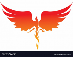 Phoenix logo Royalty Free Vector Image - VectorStock | Bird ...