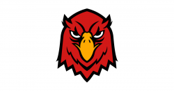 Red Falcon Bird Face Logo by anotherone