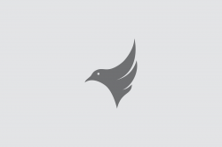 Simple Bird Logo ~ Logo Templates ~ Creative Market