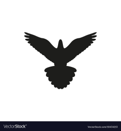 Simple black bird isolated style logo