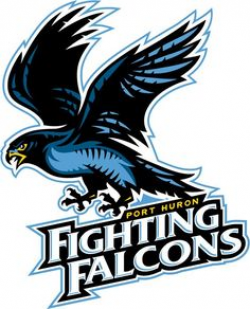 43 Best Bird sports team logos images | Sports team logos ...