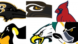 Let\'s Fix All The Bird Logos In Pro Sports