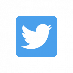 Bird, logo, twitter, twitter logo icon
