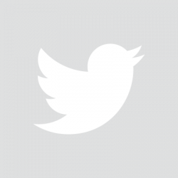 White Twitter Bird Logo - LogoDix