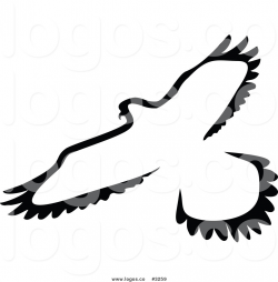 Royalty Free Vector of a Black and White Flying Bird Logo by ...