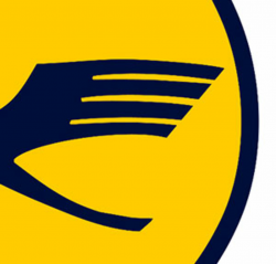 11 Best Photos of Yellow Bird Logo - Airline Logo Bird with ...