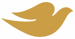 Dove Logo | Bird logos, Logo concept, Animal logo