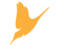 Diving Bird Designed by Abelian | BrandCrowd