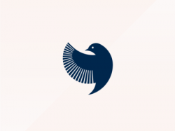 Bird Logo Concept | Bird logos, Logo concept, Logos