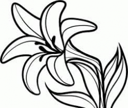 Image result for easter lily clipart | Lilies drawing ...