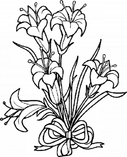 Black And White Lily Clipart