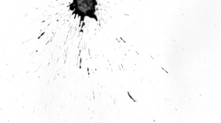 Ink drop, drop of ink for video transition, blot, ink effect, transparent,  transition, chamber, isolated, ink run circle organic flow expand, white  background