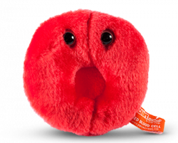 Questacon - The National Science and Technology Centre ...