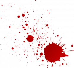 The Ultimate Broadhead | Wasp Archery