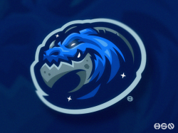 Blue Dragon Mascot Logo by HSSN DSGN on Dribbble