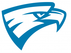 Blue eagle Logos