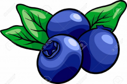 Blueberry clipart 7 » Clipart Station