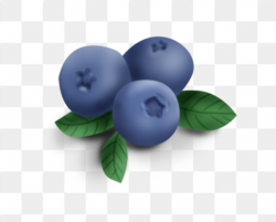 Blueberry Clipart Images, 21 PNG Format Clip Art For Free ...