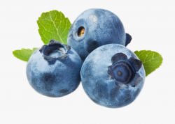 Blueberries Png - Transparent Background Blueberry Clipart ...