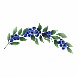 Blueberry clipart frame, Blueberry frame Transparent FREE ...