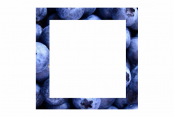 blueberries #blueberry #border - Blueberry Free PNG Images ...