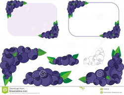Berry clipart banner, Berry banner Transparent FREE for ...