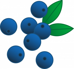 Free Blueberry Cliparts, Download Free Clip Art, Free Clip ...