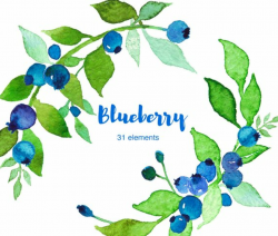 Watercolor blueberry clipart set in 2019 | Blueberry, Clip ...