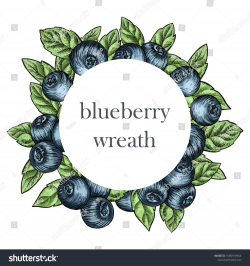 Hand drawing blueberry wreath background | How to draw hands ...