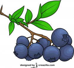 Blueberry vector. Free download. | Creazilla