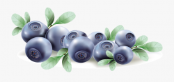 Blueberries Vector Blueberry Fruit #318864 - Free Cliparts ...