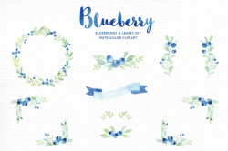 Blueberry watercolor clipart By everysunsun | TheHungryJPEG.com
