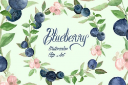 Watercolor Blueberries Clip Art