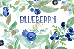 Blueberry gold. Watercolor clipart. ~ Illustrations ...