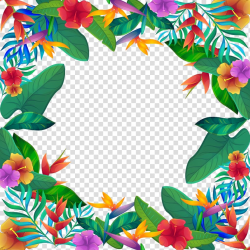 Plants border, , tropical flowers transparent background PNG ...