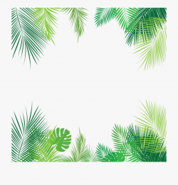 tropical #leaves #palmleaves #summer #border #overlay - Palm ...