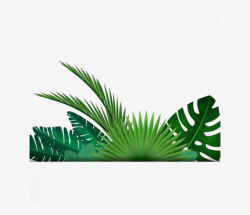 Leaf Tropics Clip - Transparent Background Leaf Border ...