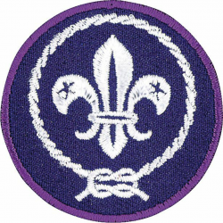 World Crest Scout Emblem