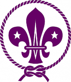 International Scouting – Long Beach Area Council – Boy ...