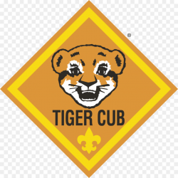 World Logo clipart - Tiger, Yellow, Font, transparent clip art