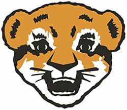 Boy Scouts Of America Tiger Cub Logo Edible Cake Topper ...