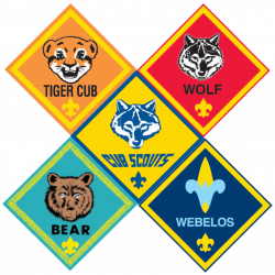 Cub Scouting – Cub Scout Pack 219