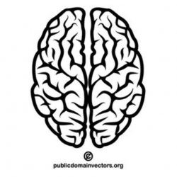 194 brain free clipart | Public domain vectors