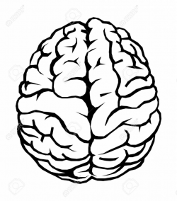 Best Brain Clipart Black and White #28898 - Clipartion.com