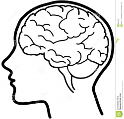 Head brain clipart 4 » Clipart Portal