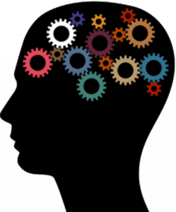Brain Learning | Free download best Brain Learning on ClipArtMag.com