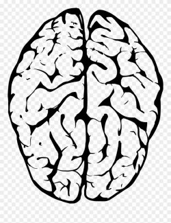 Outline Of Human Brain - Transparent Background Brain Clipart - Png ...